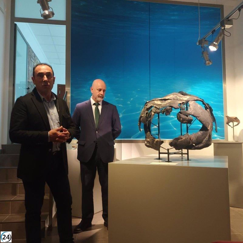 El Museo de Santa Cruz de Nogueras (Teruel) incluye dos réplicas de peces acorazados en su exhibición sobre los mares paleozoicos.