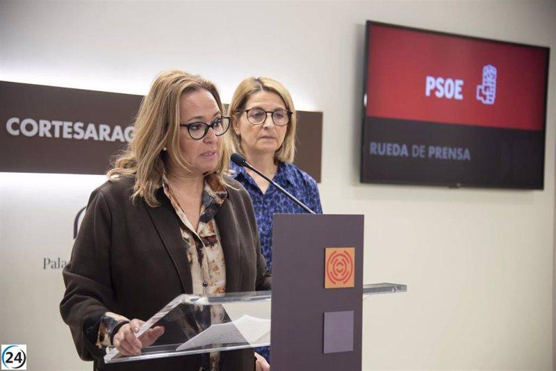 Mayte Pérez (PSOE) critica la falta de transparencia en el Gobierno de Azcón.