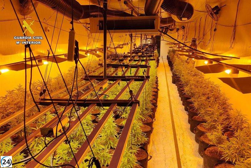 Cuatro hombres en Cadrete (Zaragoza) son sentenciados a prisión por cultivo y tráfico de marihuana.