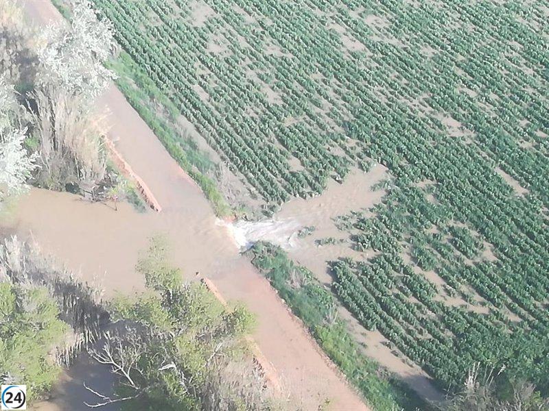 La crecida del Ebro afecta cultivos en localidades zaragozanas