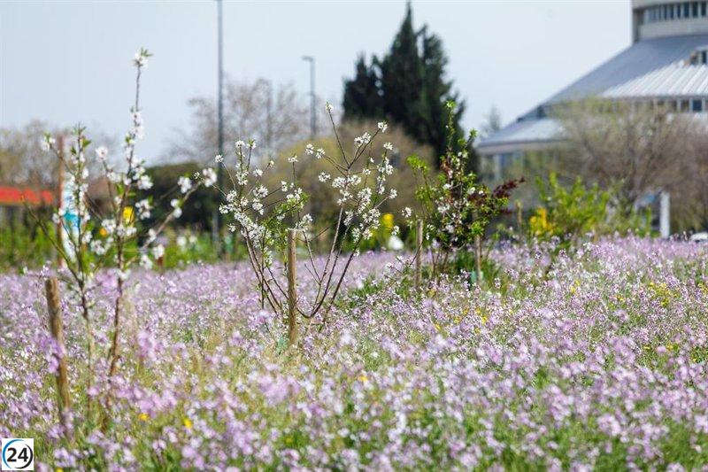 El Bosque de Zaragoza, finalista en los Premios de la Nueva Bauhaus Europea de la UE.