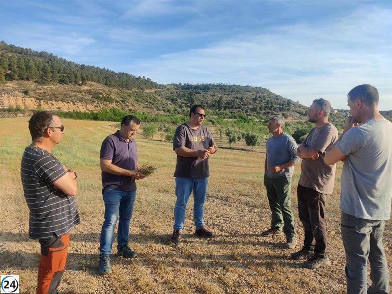La sequía en Aragón deja 146.000 hectáreas de cereal en ruinas, según UAGA.