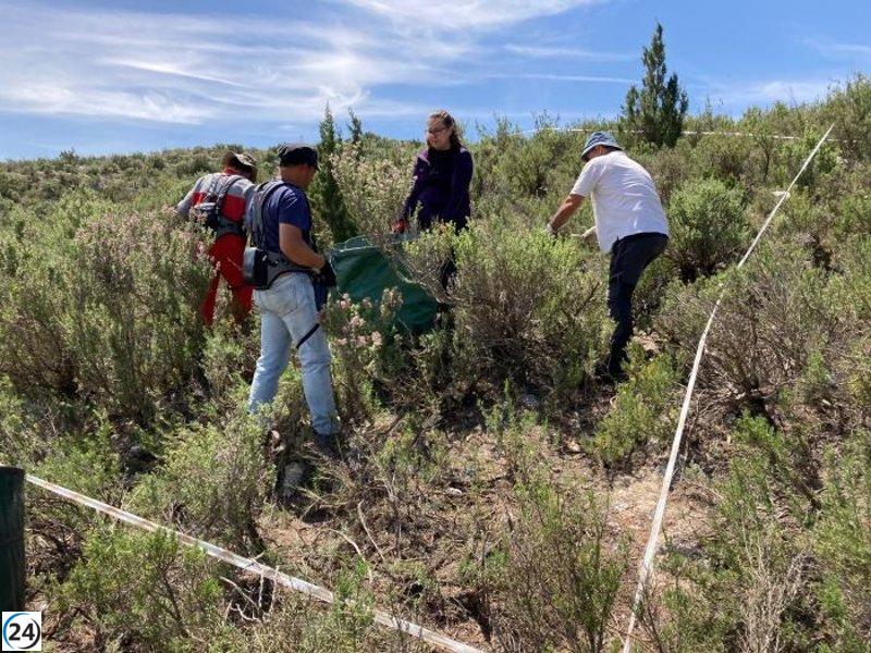 El CITA inicia las pruebas para extraer aceites esenciales de plantas aromáticas en el proyecto CARUSO.