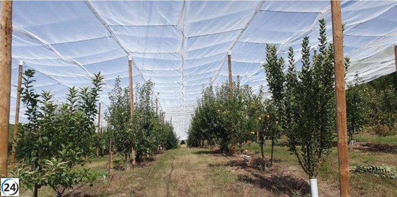 El CITA promueve evento en La Garcipollera sobre desafíos de biodiversidad en frutales de montaña.