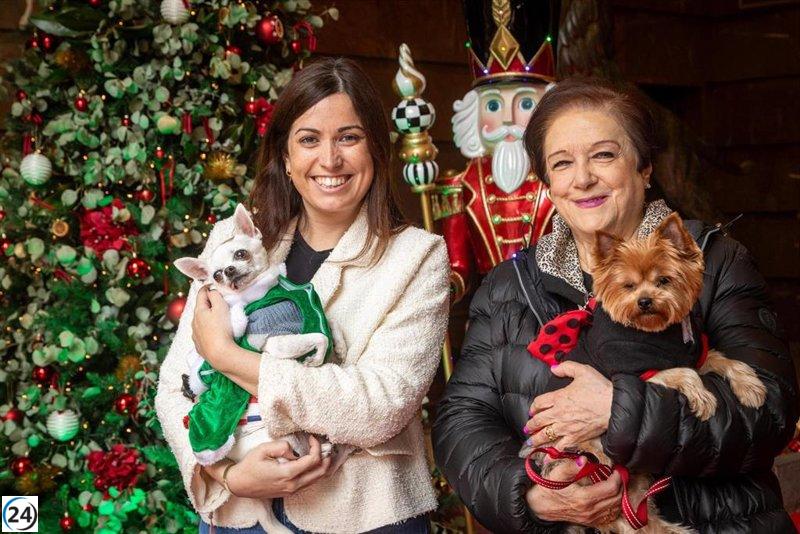 Zaragoza celebra su primer concurso navideño de disfraces para mascotas premiando la creatividad.
