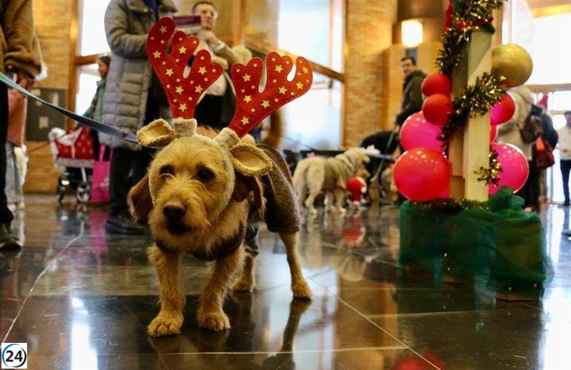 Más de 60 animales deslumbran en la primera pasarela navideña de moda para mascotas en el Auditorio.