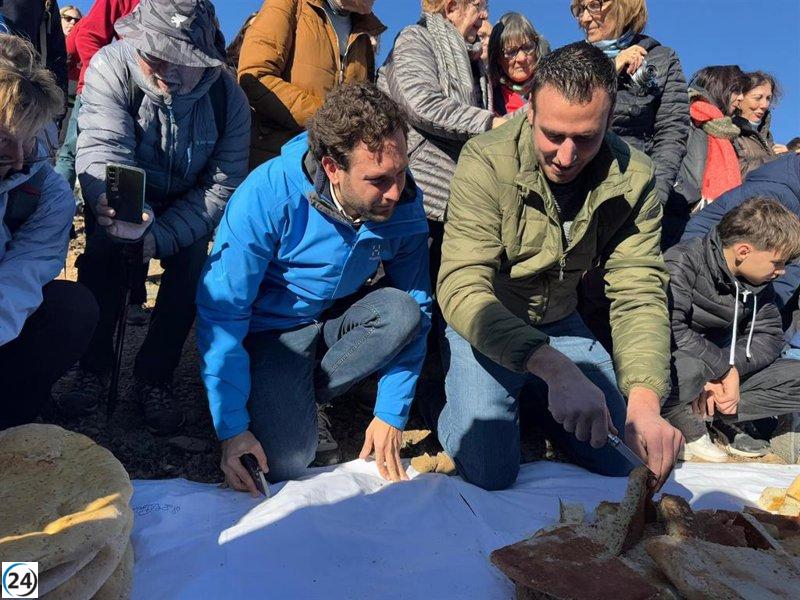 Langostas de Abizanda (Huesca) predicen cosechas prometedoras de aceite y cereal.