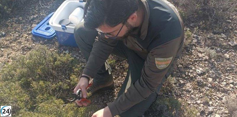 Aragón implementa un innovador sistema de medición de combustible para combatir incendios forestales.