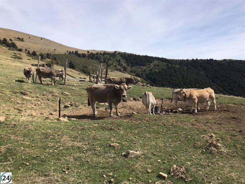El Gobierno de Aragón invierte 930.000 euros en mejorar las redes de sanidad animal.