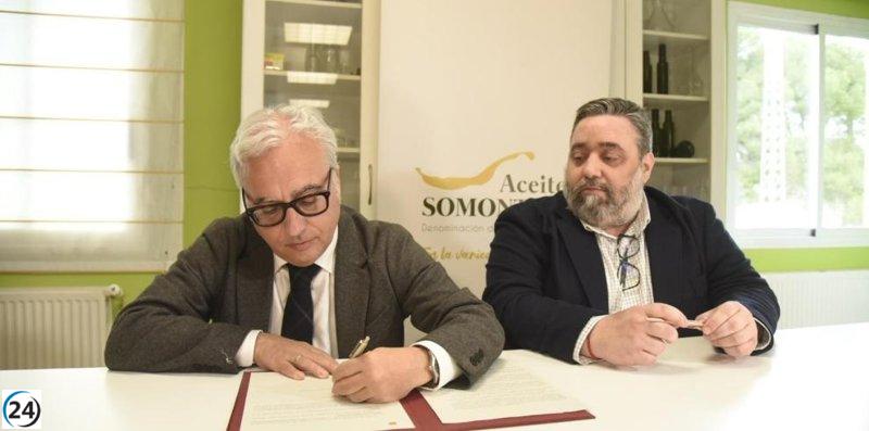 Aceite del Somontano recibe estatus de Denominación de Origen para su promoción nacional.