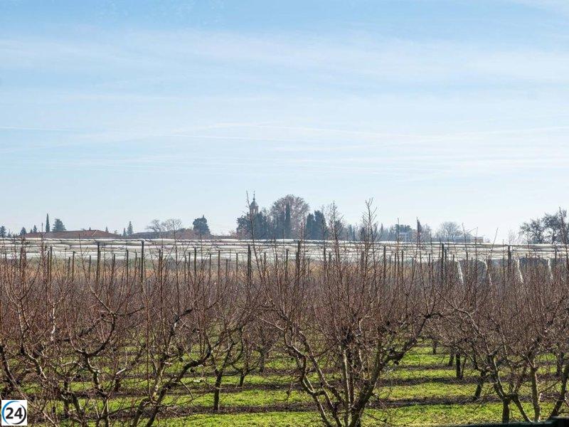 Aragón destina 1,5 millones para fortalecer la formación agrícola y la ganadería local.