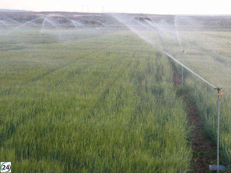 La Oficina del Regante de Aragón reduce el consumo eléctrico de sus usuarios en un 36%.