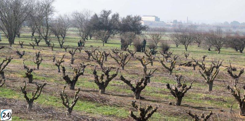 Aragón considera impugnar ante el Tribunal Supremo el decreto de ayudas por sequía del Ministerio de Agricultura.
