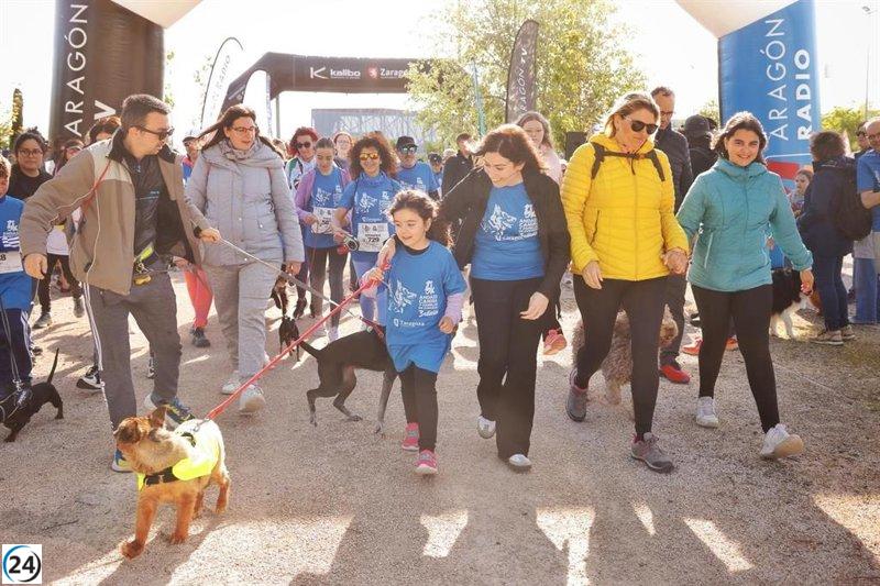 Zaragoza acoge con éxito la III Andada Canina y Familiar, donde más de 2.000 personas y 1.000 mascotas se unen en solidaridad.