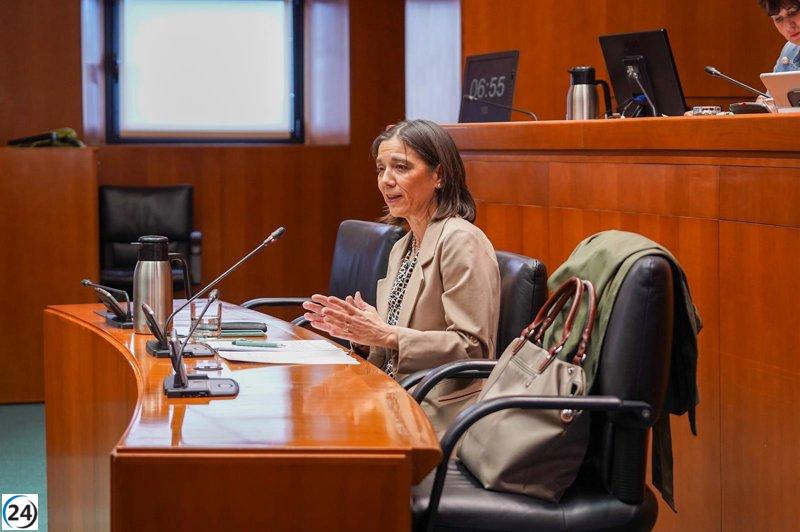Este lunes, la interventora general presenta en las Cortes un informe sobre la eficacia del control interno en Aragón.