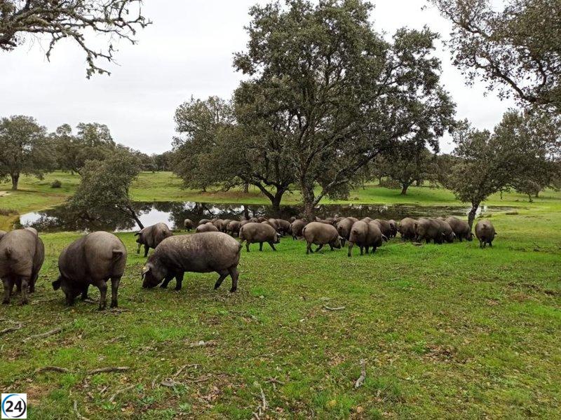 Arrancan las XXI Jornadas de Producción Animal, impulsando la Ganadería de Precisión con una cifra récord de asistentes.
