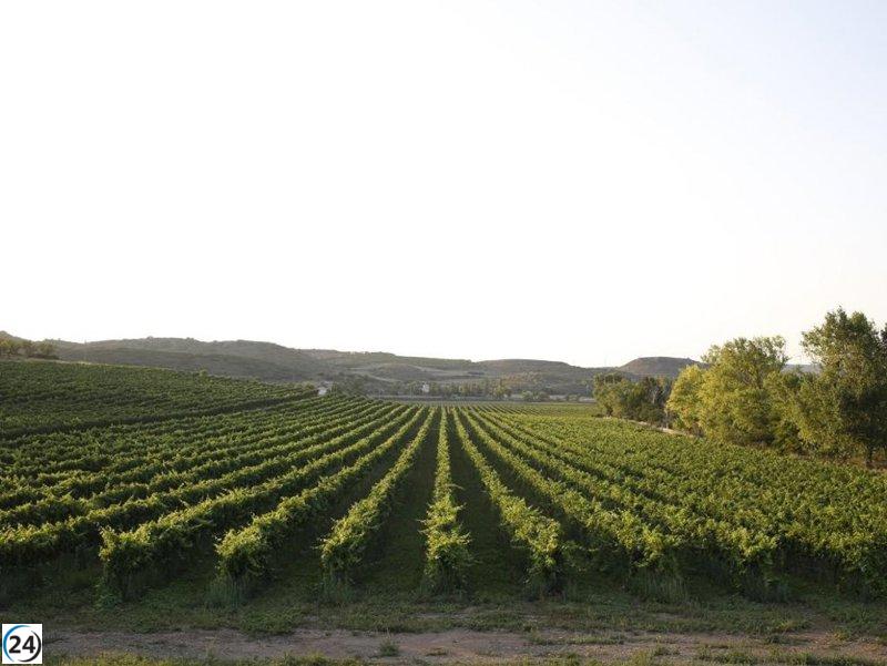Aragón invertirá 1,4 millones de euros en 2025 para apoyar a agricultores y ganaderos.