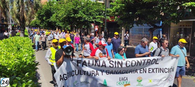 Productores agrarios de Aragón piden medidas urgentes para enfrentar los daños causados por la fauna salvaje.