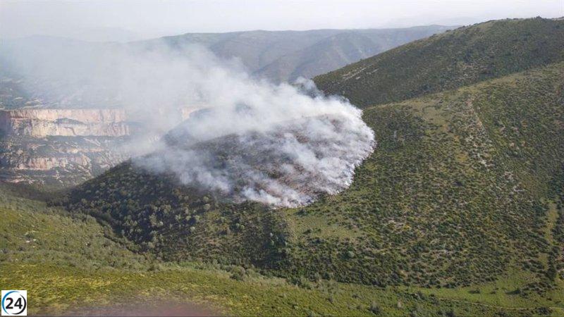 Rayo provoca incendio que arrasa tres hectáreas de vegetación en Belsué, Huesca.