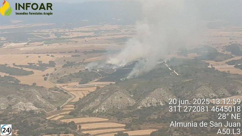Incendio destruye 10 hectáreas de tierras cultivables en Almunia de San Juan.