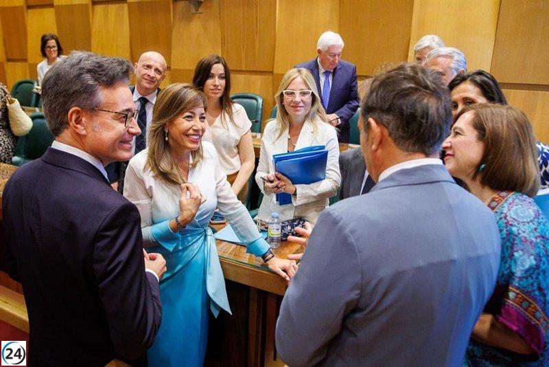 Zaragoza avanza en su futuro con reformas en los paseos María Agustín, Pamplona y Constitución.