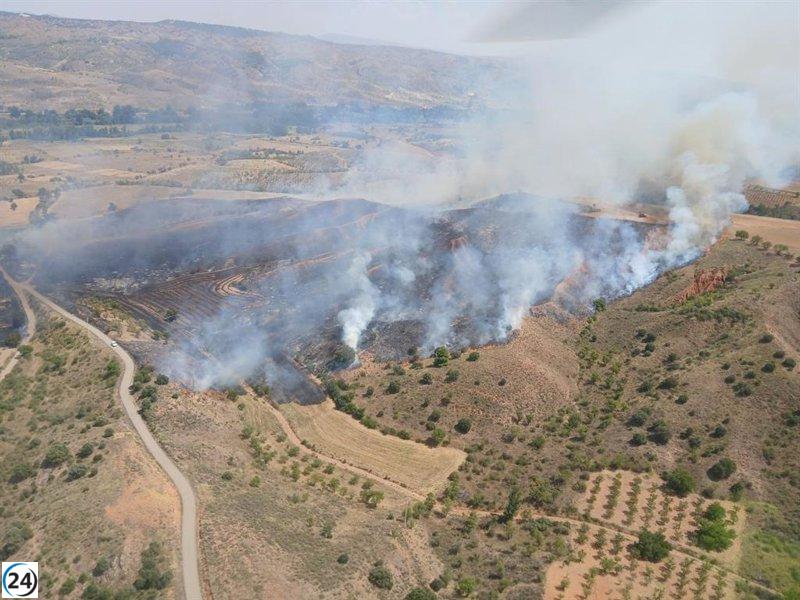 Se desata un incendio en área rural y forestal de Daroca.
