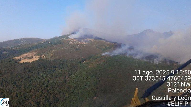 Los bomberos aéreos de Ejea se suman a las labores de control del incendio en Resoba, Palencia.