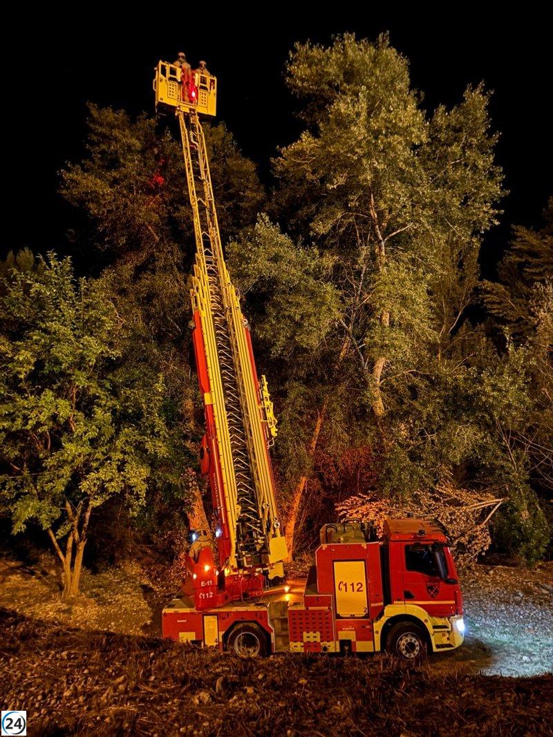 Bomberos de Teruel eliminan nido de avispa asiática en Alcañiz.