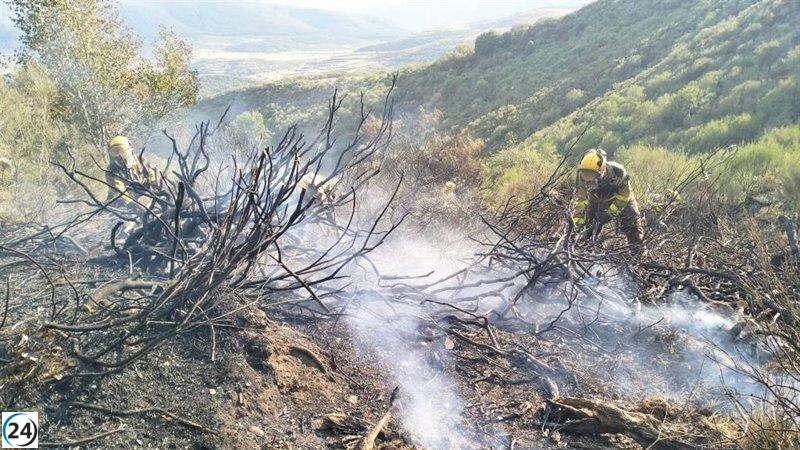 Bomberos de Aragón luchan contra el incendio forestal en Barniedo de la Reina, CyL, en dos frentes.