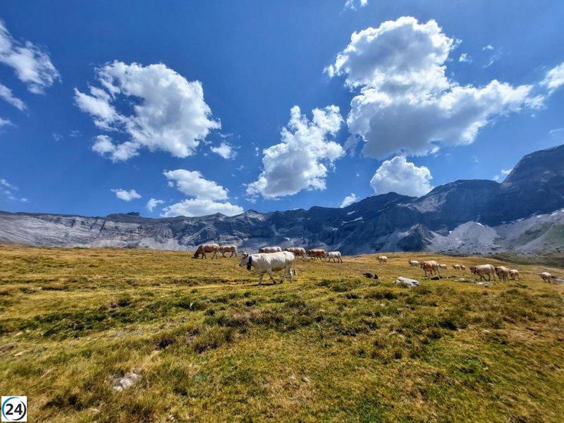 CITA presenta siete investigaciones en el 76º Congreso Anual de la Federación Europea de Ciencia Animal.
