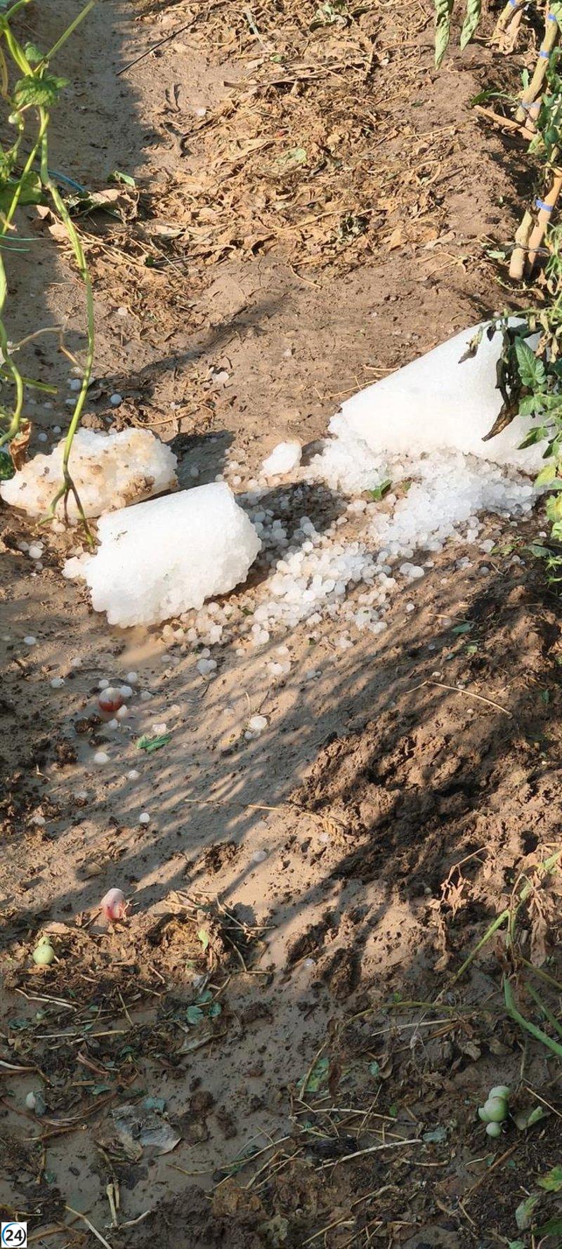 La tormenta arrasa la Comarca Cariñena, devastando hasta el 75% de las cosechas de frutas y almendras.