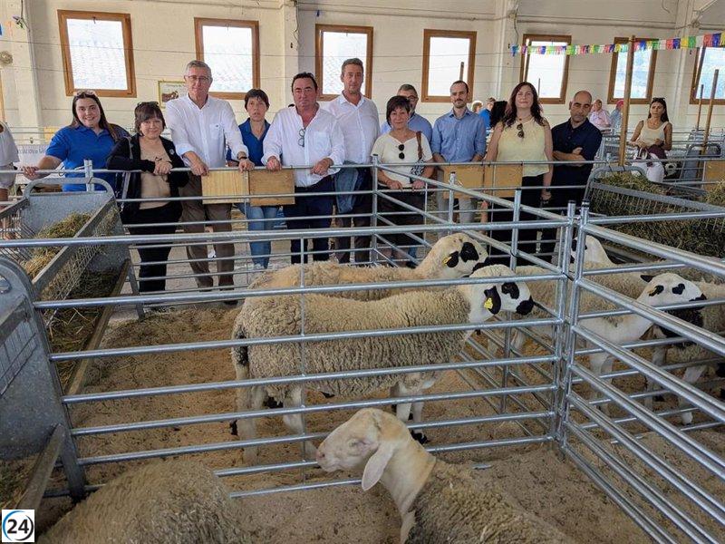 Cantavieja aspira a lo grande en su 115ª Feria de Septiembre, con más caballos que nunca y esperanzas de éxito en la subasta ganadera.