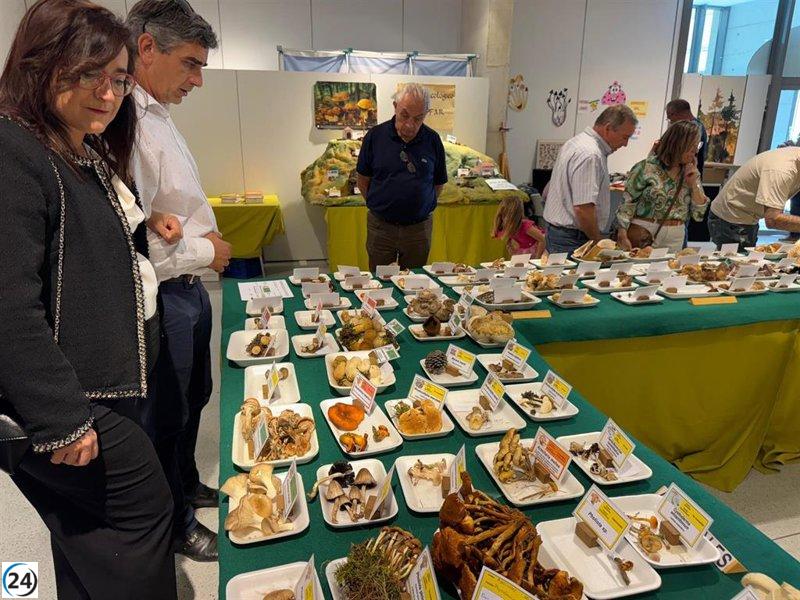La XXIV Exposición de Setas en Binéfar congrega a cientos de amantes de la micología.