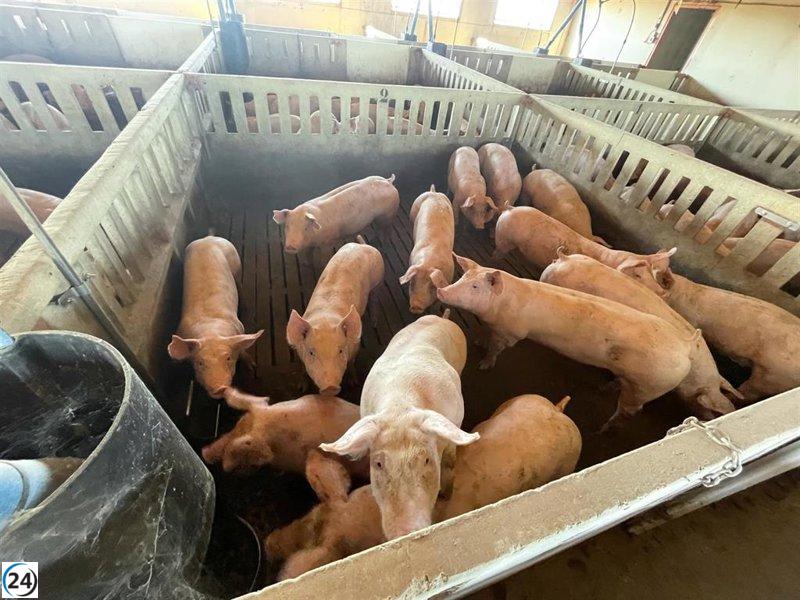 Vaquero ve oportunidades de diálogo con China a pesar de los aranceles en la carne de cerdo.