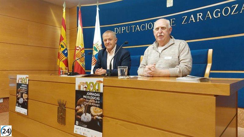 San Martín de Moncayo acoge de nuevo en otoño sus jornadas de setas, anticipando un resurgimiento en la temporada.