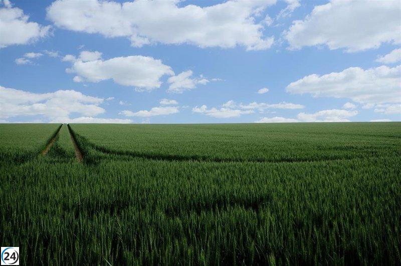 El Ministerio de Agricultura acelera el pago anticipado de la PAC, superando los 217 millones de euros, la cifra más alta jamás registrada.