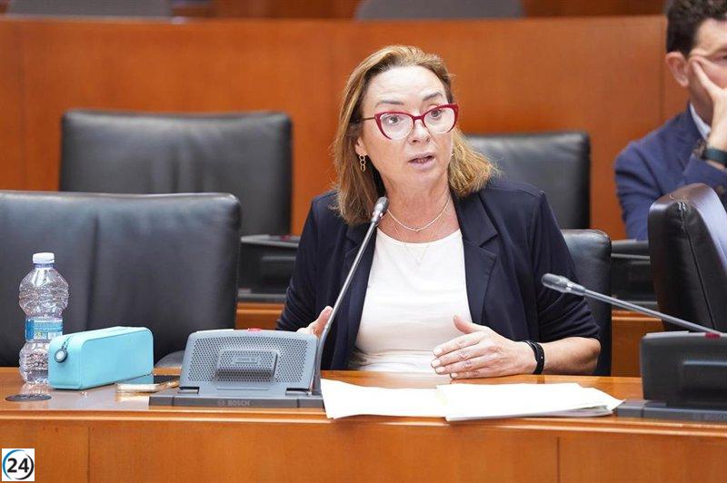 El Parlamento de Aragón propone destinar terrenos para ampliar la red del tranvía hacia Arcosur.