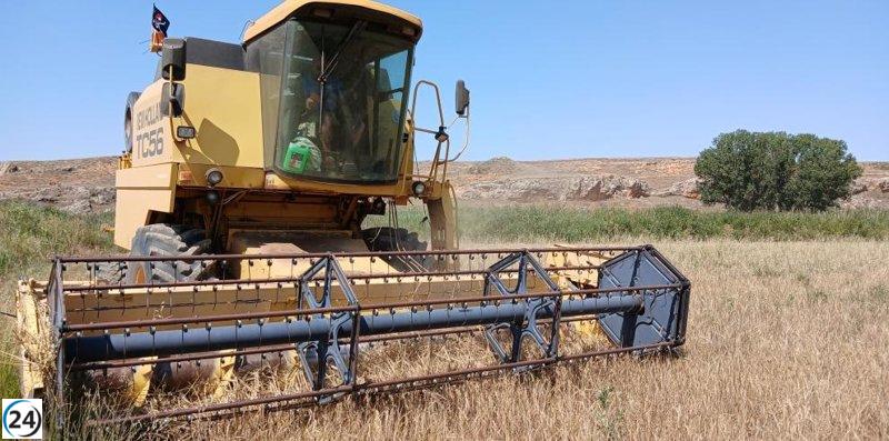 La agricultura recibe más de 18 millones de euros en segundo anticipo de la PAC.