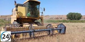 La agricultura recibe más de 18 millones de euros en segundo anticipo de la PAC.