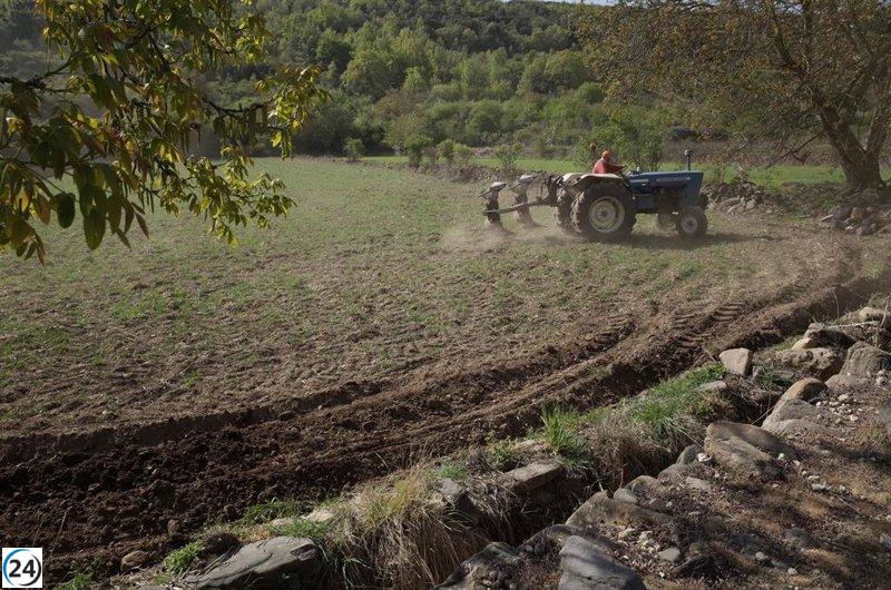 El sector agrícola recibe apoyo para la contratación de seguros en 2026.