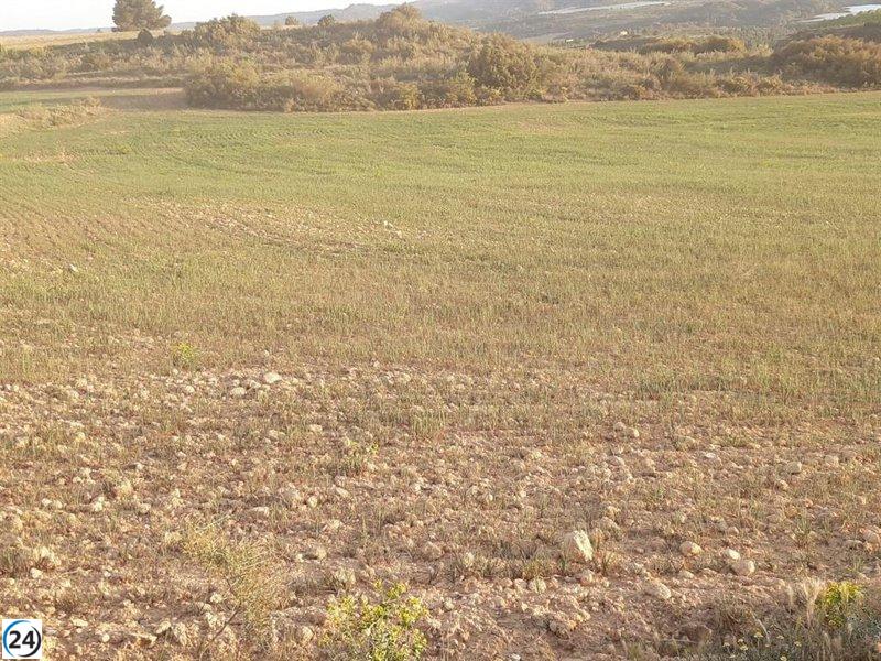 La sequía causa situación