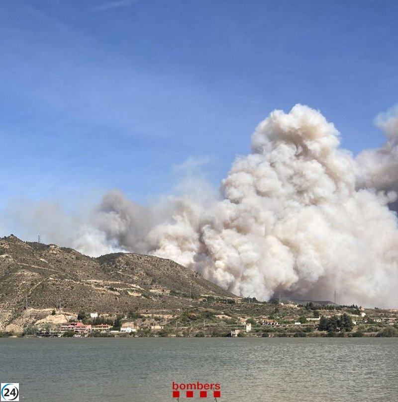 Controlado incendio forestal en zona fronteriza entre Lleida y Zaragoza.