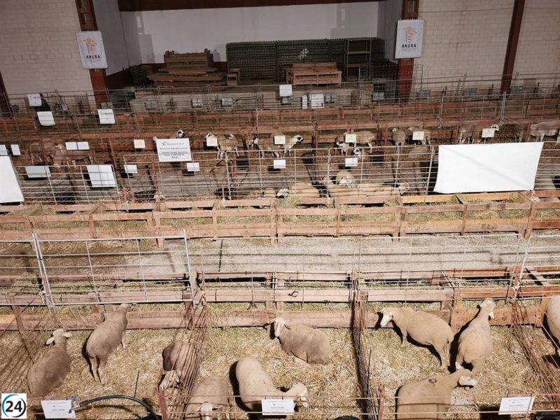La DPT ofrece subvenciones a los ayuntamientos para llevar a cabo las ferias.