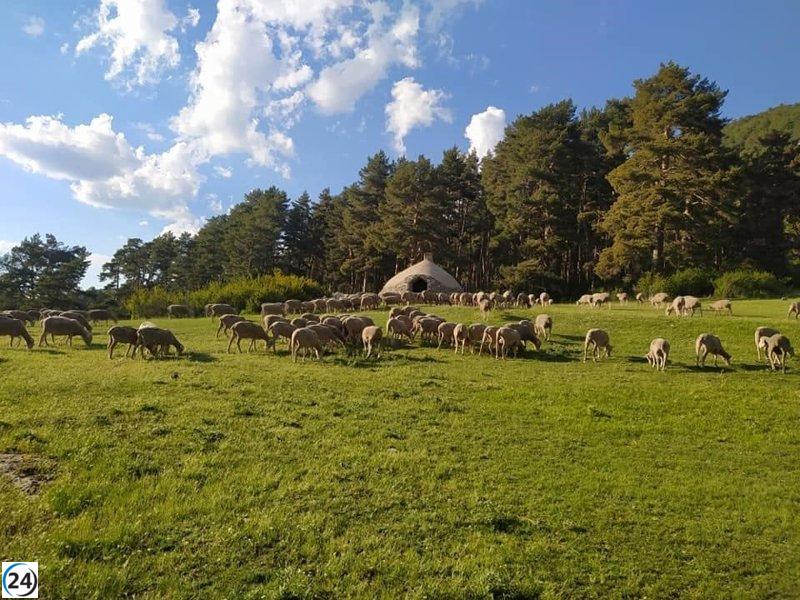 La Diputación de Teruel abre convocatoria para ayudas a razas y productos locales.