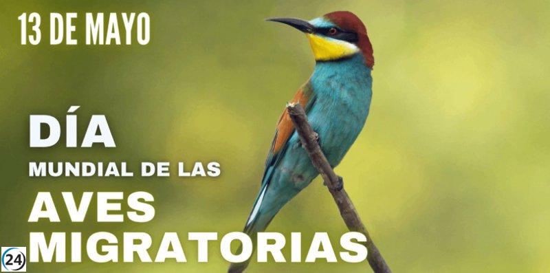 La Red Natural de Aragón celebra el Día Mundial de las Aves Migratorias con diversas actividades.