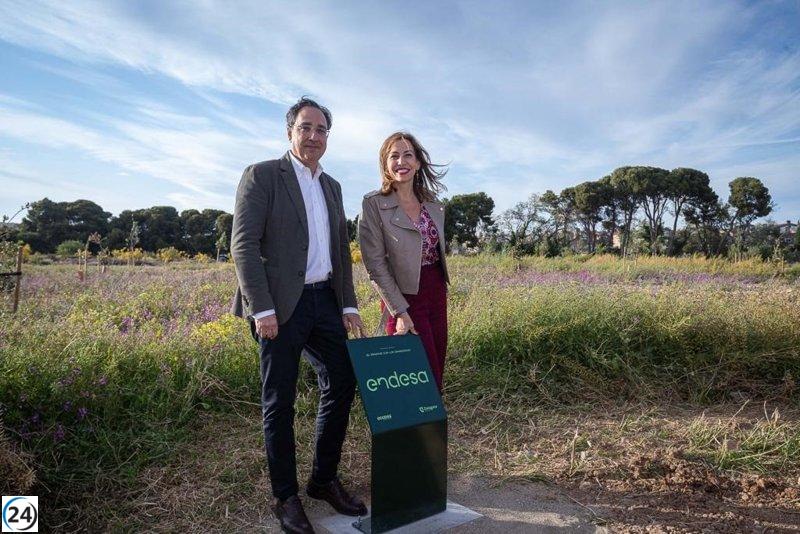 Endesa plantará 50.000 arbustos en El Bosque de los Zaragozanos para preservar la biodiversidad.