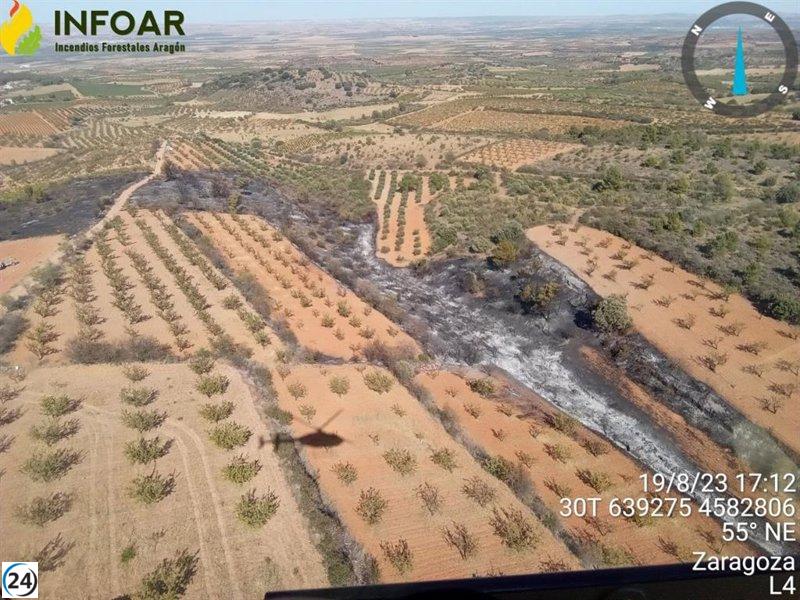 Apagado el incendio de Almonacid de la Sierra, que arrasó 2,4 hectáreas.