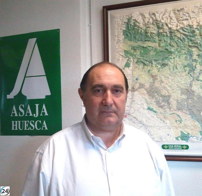 La importancia de cumplir la normativa en prevención de riesgos laborales, enfatizada por los CEOS.