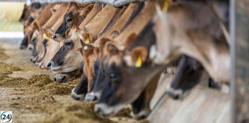 Agricultura exige al Gobierno de España un protocolo para enfrentar la EHE