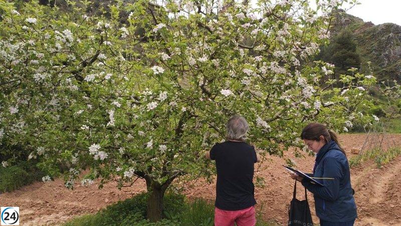 UAGA-COAG solicita al Gobierno de Aragón ayudas adicionales para los fruticultores afectados por la falta de lluvias